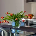 Olive Tree Apartman *