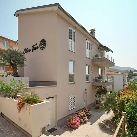 Olive Tree Apartment