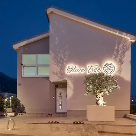Olive Tree
