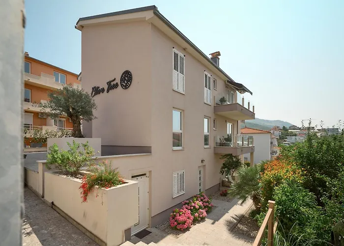 Olive Tree Apartment