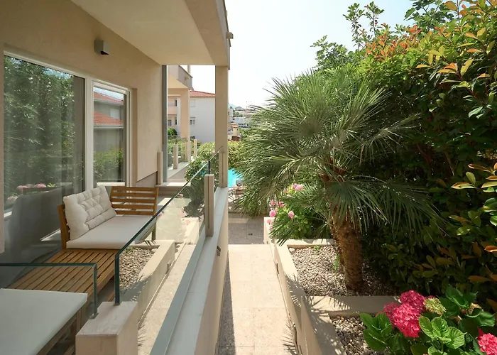 Olive Tree Apartment
