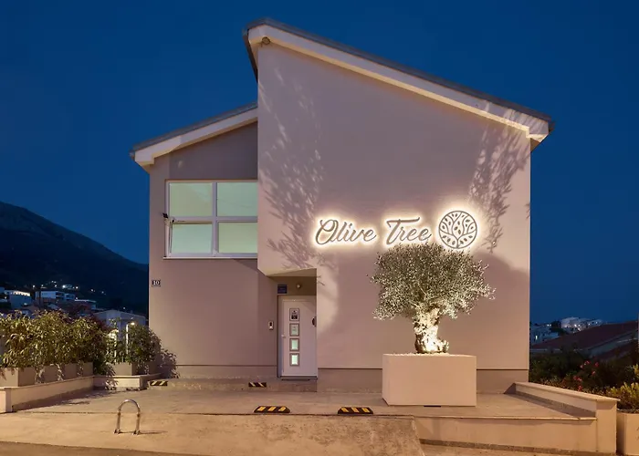 Olive Tree